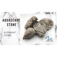 Elephant Stone decoration for Aquascape