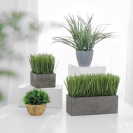 Wheatgrass Simulation Plant Bean Sprouts Wheat Seedling Home Living Room Decoration Potted Small Green Plant Fake Grass