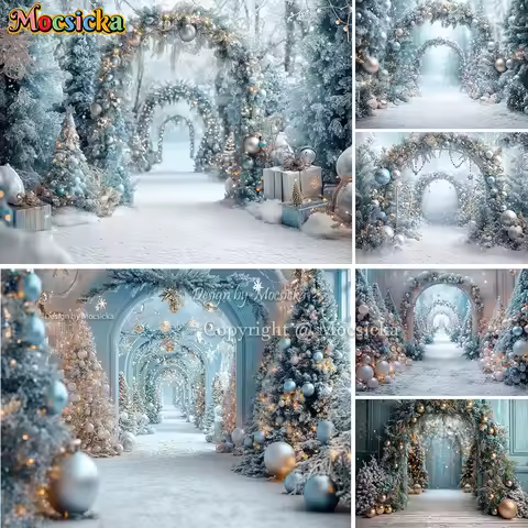 Mocsicka Frozen Christmas Wonderland Background Photography Archway Wreath Balloon Snowy Backdrop Wi