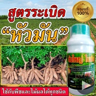 สูตรเข้มข้น ฮอร์โมนระเบิดหัว 500 ซีซี  เร่งแป้ง มันสำปะหลัง  ปลอดสารพิษ100 % ปุ๋ยเร่งรวงข้าว ระเบิดหัวมัน ยาฉีดมันลงหัว ปุ๋ยมันสำปะลัง  ยาฉีดมันลงหัว ยาฉีดมันทางใบ