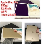 Apple iPad Pro256gb