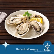 [Seaco] Japan Whole Oyster Frozen (M) - (40-60GM)