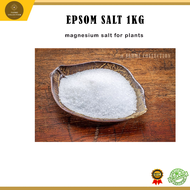 AG Magnesium Sulphate 1KG Epsom Salt Pertanian Organic | VALUABLE NUTRIENTS BAJA GARAM EPSOM