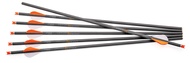 CenterPoint Archery CP400 Select 400-Grain 20-Inch Carbon Arrows AXCCA20TPK, Pack of 6