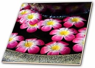 3dRose Flowers Floating In Water Fountain, Bangkok, Thailand-AS36 Aje0004 - Adam Jones - Ceramic Til