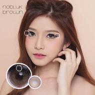 SOFLENS NOBLUK DREAMCOLOR