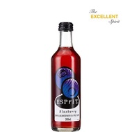 Bickfords Esprit Juice Blueberry 300ml