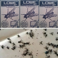 FLY GLUE ERADICATE FLY, EFFECTIVE, PERFECT