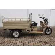 MOTOR LISTRIK RODA 3 VIAR E5