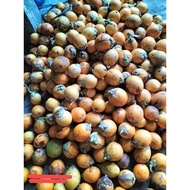 Buah Pinang Pandan Wangi tua kuning Jambe wangi Netto 1kg