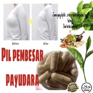 10 DAYS PILLS/ pil pembesar payudara/ breast pills enlargement/ pil punggung besar/ pembesar payudara. 10 biji