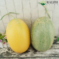 RALPH Fake Cantaloupe Melon, Plastic Foam Artificial Cantaloupe Melon, Toy Realistic Funny Decorativ