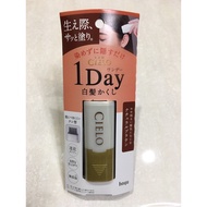 Hoyu Cielo Hair Comb Original Japanese Gray Hair Covering Dye Comb