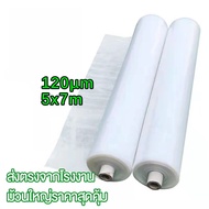 พลาสติกคลุมโรงเรือน PE เกรดA พลาสติกใส หนา 120/150 ไมครอน UV7% เหมาะสำหรับงานกันซึมหลังคาเรือนกระจก