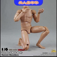 COOMODEL 1/6 Movable Male Figure 2.0 Bd001 Narrow Shoulders Bd002 Heightened Figure