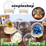 SIMPLE Glass cloche Terrarium Tabletop Plants Spherical Glass Vase Terrarium Jar Flower Storage box