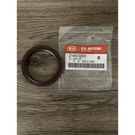 Flywheel Oil Seal Hyundai Atos Picanto I10 21443-02501