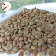 kopi greenbean biji mentah robusta honey 1 kg