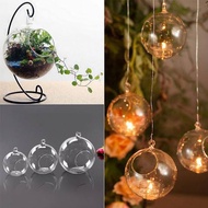 6pcs Plastic Hanging Ball Terrarium small(9x9)