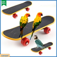 canaan|  Skateboard Toy Mini Ease Anxiety Plastic Skateboard Training Toy for Budgie