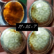 EST. FINGERS 8 - 9 LOTUS AGATEnatural