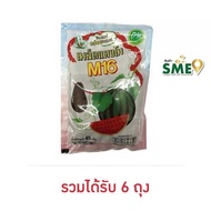 M16 เมล็ดแตงโม 45 กรัม - M16, Supermarket