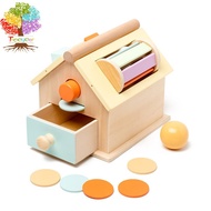Montessori Toys for Babies 6-12 Months, Wooden Baby Toys, 5 in 1 Wooden Toys for Babies with Object Permanence Box, Ball Coin Drop Toy House, Rainbow Spinning Drum&amp;Shape Sorter