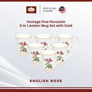 Vantage Fine Porcelain English Rose (F4) 6pcs Amber Mug Set With Gold Lining