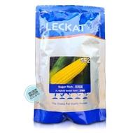 (500gm) +-3000 Biji F1 Sugar Rich 592 Jagung Manis Benih Leckat / Sweet Corn 巨无霸