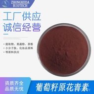 Original Grape Seed Extract Anthocyanin Grape Seed Original 95% Anthocyanin Grape Seed Powder Ready 