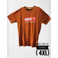 BIGSIZE TSHIRT (4XL)