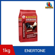 Enertone Thunderbird