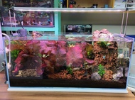 超白玻璃魚缸全套 清屋只限7天