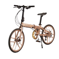 Foldable Bike 20 Inch 16 Speeds (Free Installation) Cycling Bicycle