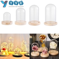 YVE Glass cloche Home Decor Terrarium Tabletop Glass Vase Jar Transparent Bottle Flower Storage box