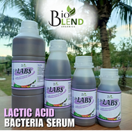 BioBlend Pure Lactic Acid Bacteria Serum (LABS) Bio Probiotic – A natural microbial solution that en