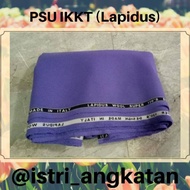 Terlaris PSU IKKT Lapidus