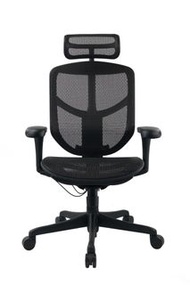 Ergohuman Enjoy B2B Ergonomic Office Chair 人體工學椅 辦公椅 電腦椅