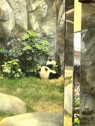 海洋公園門票 優惠價大特買 想睇家姐細佬唔好錯過