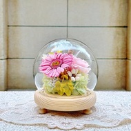 永生花/向日葵/夜燈/玻璃盅/玻璃罩