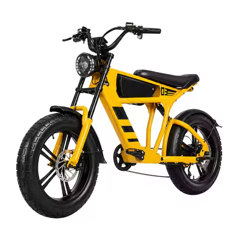 48V 18.2Ah 1000W Fat Tire Electric Bike 20x4.0 E Bike for Adults 25km/h Max Speed 60km Electric Rang