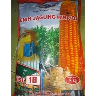 Grosir Benih Jagung Hibrida Bisi 18 Kemasan 5Kg Wxy