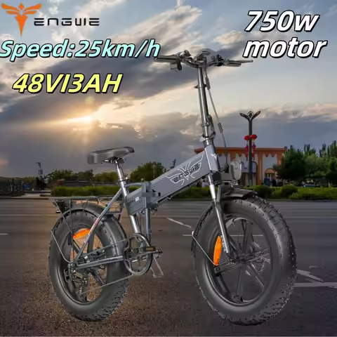 Electric Bicycle Engwe EP-2 Pro 750W 48V 13AH Lithium battery adult E-Bicycle 20 Inch Fat Tire Urban
