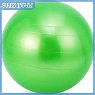 SHZTGM Diameter 45cm PVC Fitness Balls Yoga Ball Balance Stability Thickened Explosion-proof Exercis