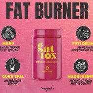 [SHIP OUT IN 24HRS] Gattox Honey Lemon Beaunita Berryfull Breakoat