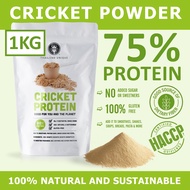 Cricket Powder 75% Protein (ผงโปรตีน 75 % จากจิ้งหรีด) : 1 กิโลกรัม