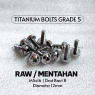 RAW RAW/ TITANIUM BOLT M5x15 THREAD BOLT 8 GR5