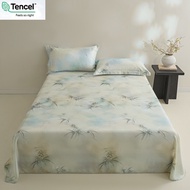 Premium 50S Lyocell Tencel Flat Bedsheet Classical Style Cooling Bedsheet 100% Tencel Bedsheet 天丝床单