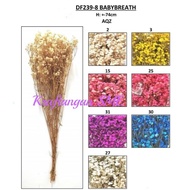 BabyBreath dry flower/ Lagovia dry flower/ Dried Caspia/ Rice Flower/ Lavendar flower/ Dry flowers
