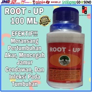 ROOT UP - HORMON  AKAR / ROOT - UP / ROOT UP / PEMACU AKAR/  OBAT AKAR - 100ML